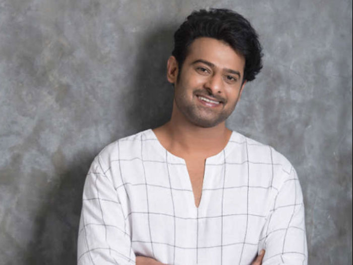 Young Rebel Star Prabhas