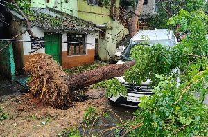 AP: Cyclone Arnab damages