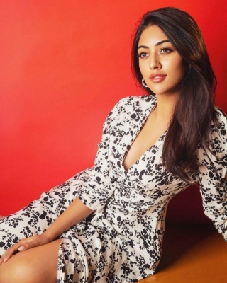 Anu Emmanuel Photos - 3 of 4