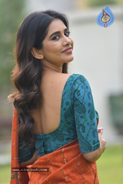 Nabha Natesh Stills - 6 / 6 photos