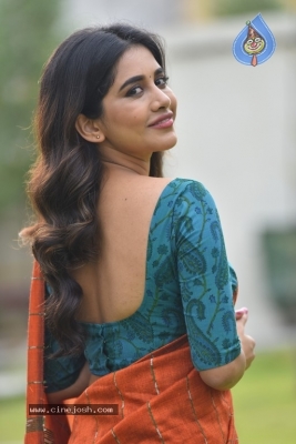 Nabha Natesh Stills - 6 of 6