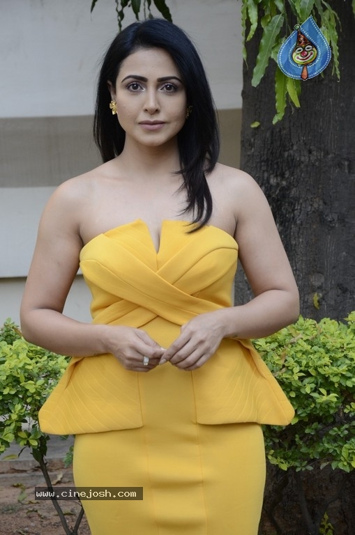 Nandini Rai Photos - 10 / 21 photos