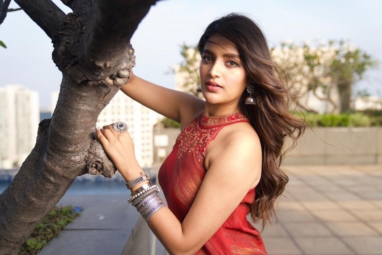 Nidhhi Agerwal Pics - 4 / 4 photos