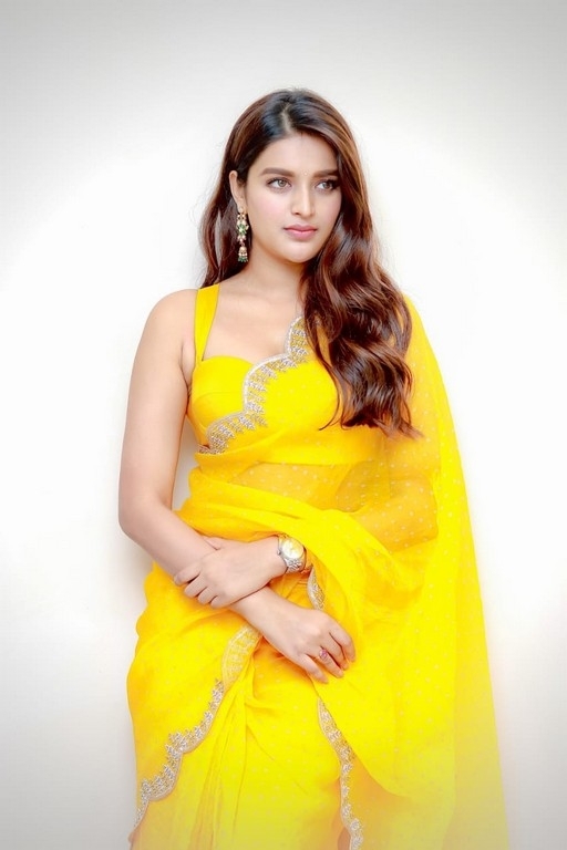 Nidhhi Agerwal Stills - 2 / 4 photos