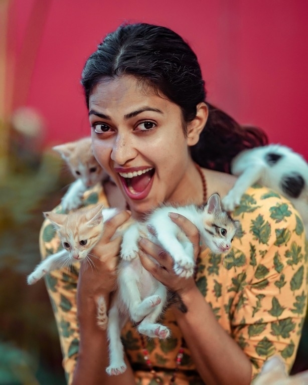 Amala Paul Pics - 4 / 4 photos