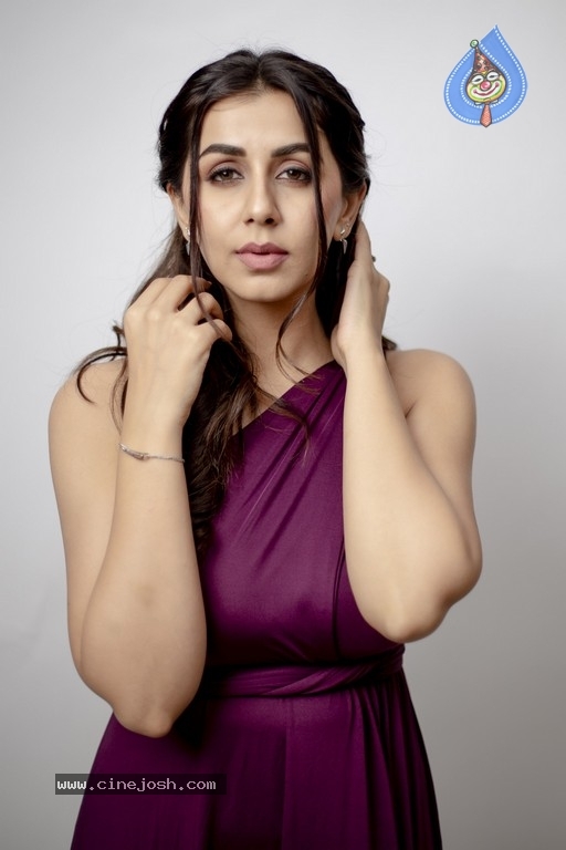 Nikki Galrani Photo Shoot - 11 / 12 photos