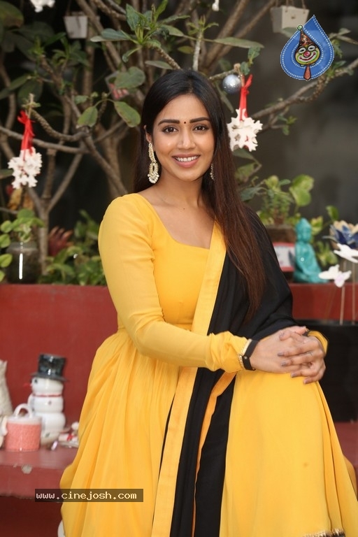 Nivetha Pethuraj - 4 / 21 photos