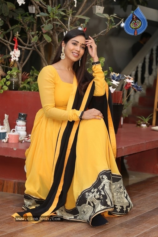 Nivetha Pethuraj - 10 / 21 photos