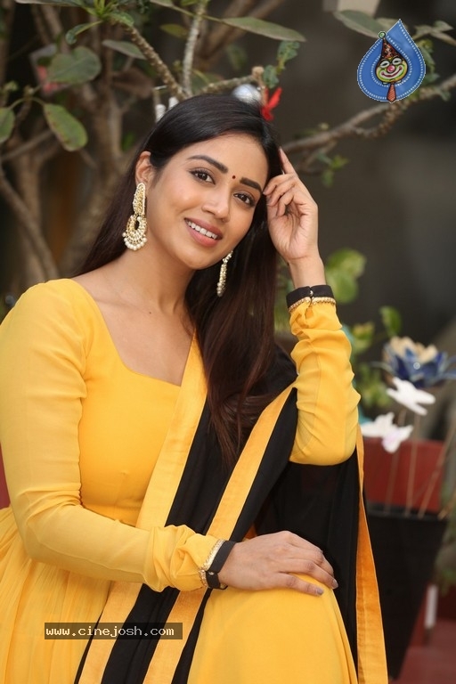 Nivetha Pethuraj - 13 / 21 photos