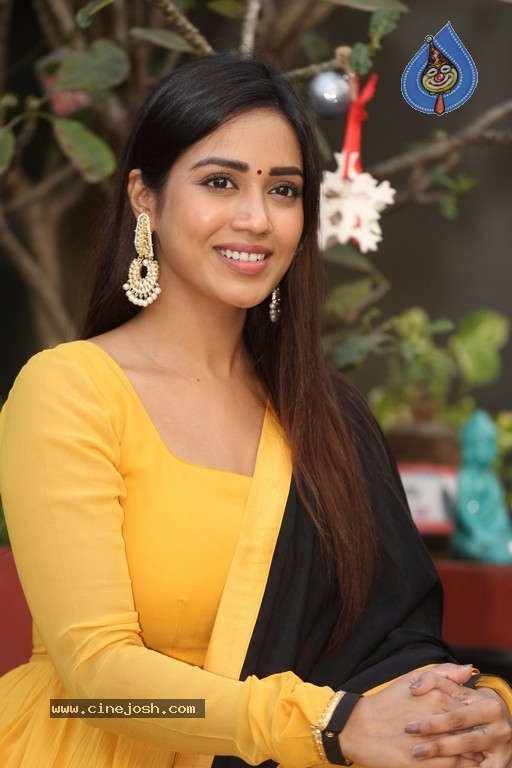 Nivetha Pethuraj - 14 / 21 photos