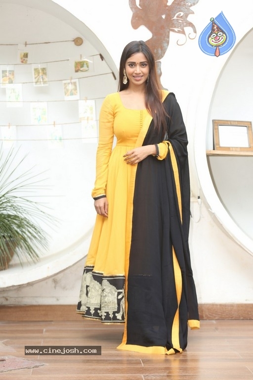 Nivetha Pethuraj - 15 / 21 photos