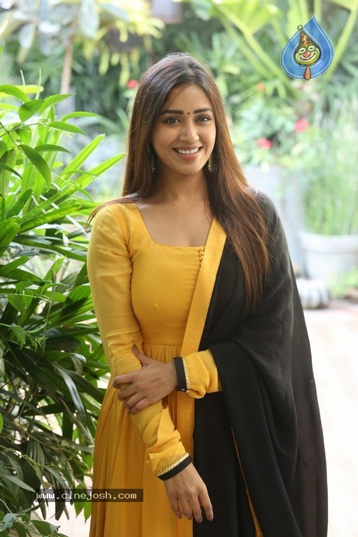 Nivetha Pethuraj - 17 / 21 photos