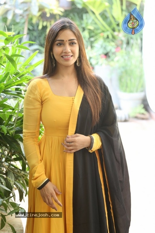 Nivetha Pethuraj - 18 / 21 photos