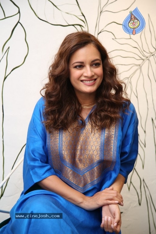 Dia Mirza Interview Photos - 10 / 20 photos