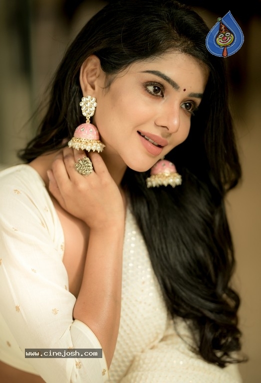 Pavithra Lakshmi Photoshoot - 30 / 31 photos