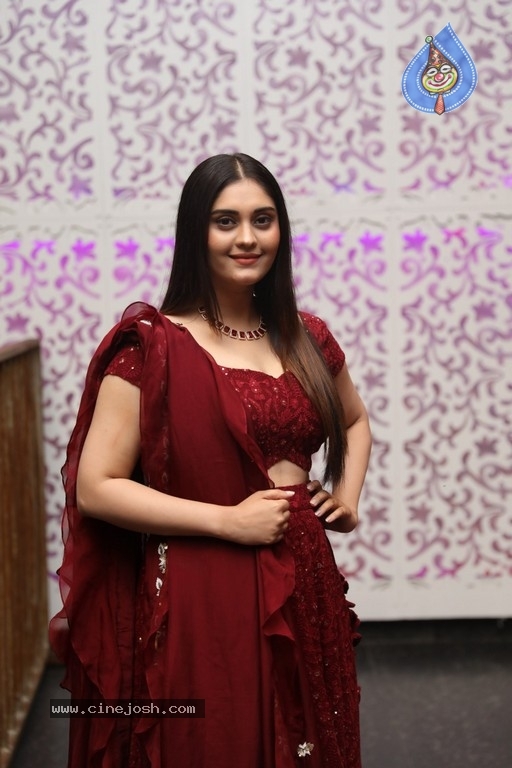 Surabhi Photos - 14 / 18 photos