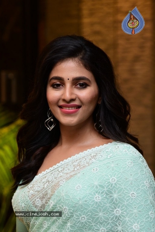 Anjali Photos - 20 / 21 photos