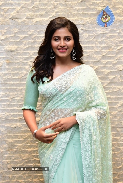 Anjali Photos - 21 / 21 photos