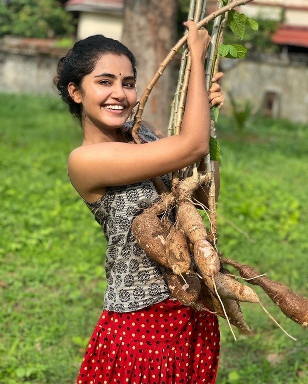 Anupama Parameswaran - 1 / 4 photos