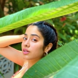 Janhvi Kapoor Pics