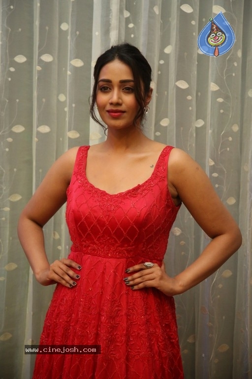 Nivetha Pethuraj - 1 / 12 photos