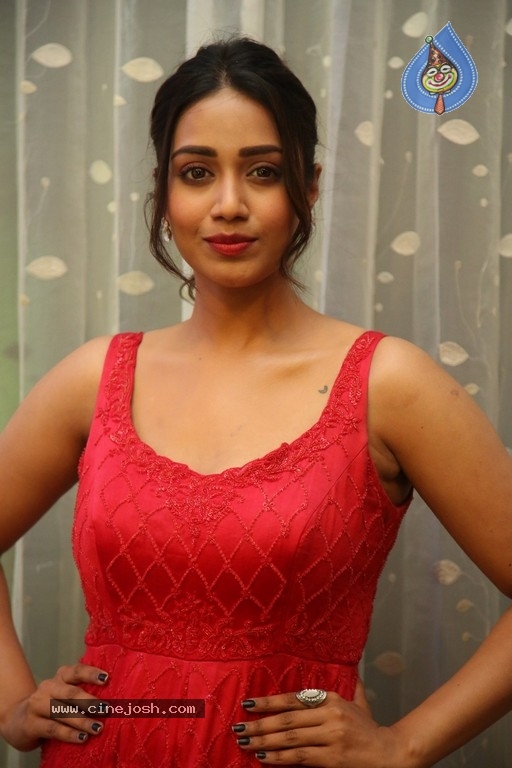 Nivetha Pethuraj - 6 / 12 photos