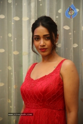 Nivetha Pethuraj - 4 of 12