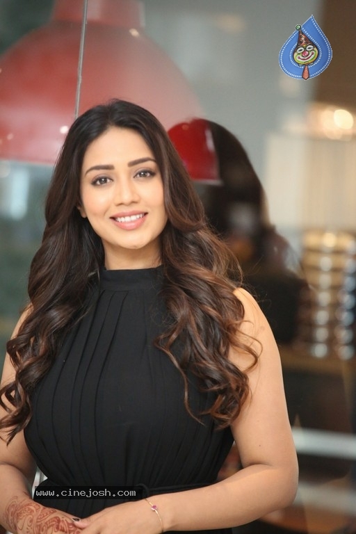 Nivetha Pethuraj Pics - 13 / 17 photos