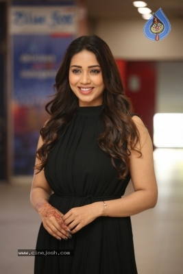 Nivetha Pethuraj Pics - 8 of 17