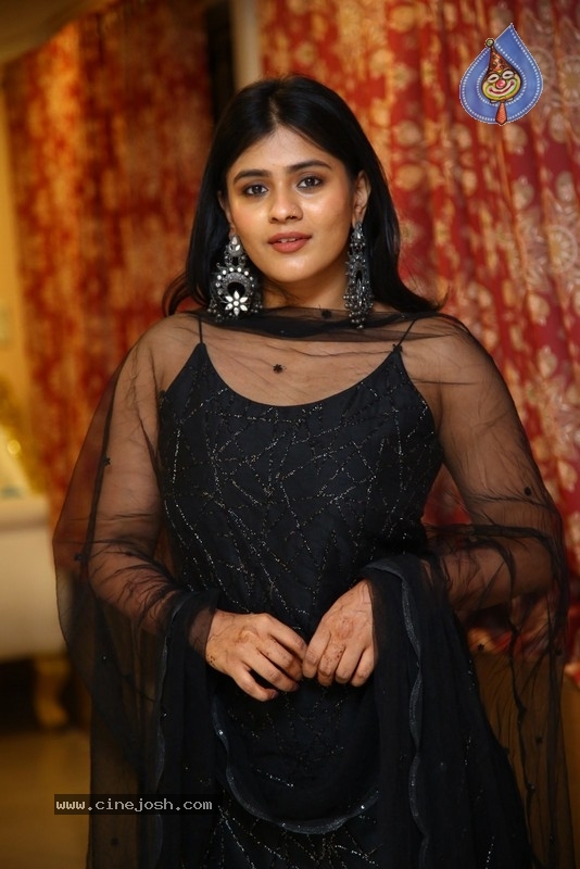 Hebah Patel - 4 / 28 photos