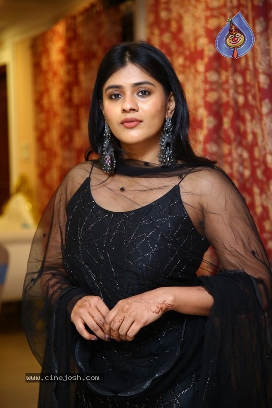 Hebah Patel - 17 / 28 photos