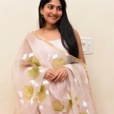 Sai Pallavi Photos