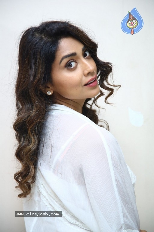 Shriya Saran Photos - 56 / 106 photos