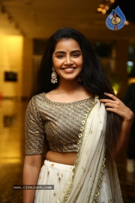 Anupama Parameswaran Photos - 16 of 18