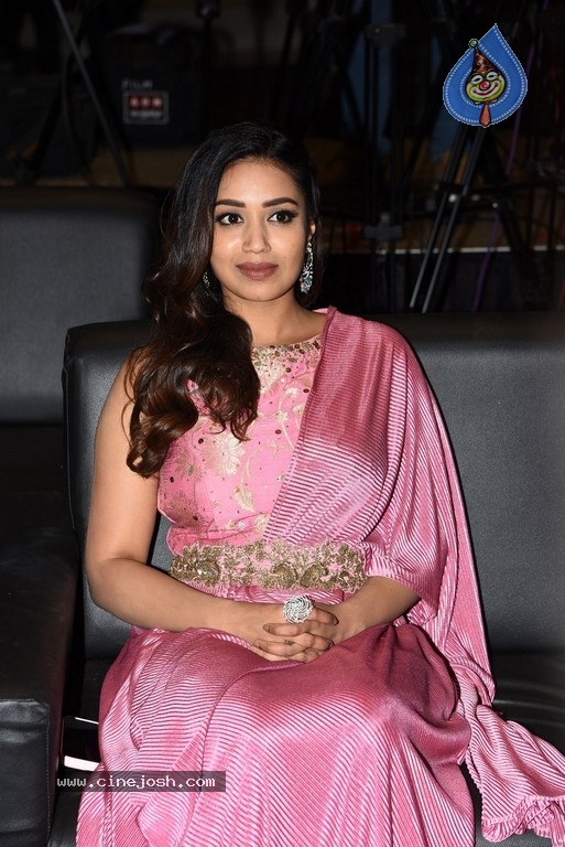 Nivetha Pethuraj Pics - 5 / 12 photos