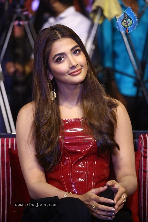 Pooja Hegde Photos - 1 / 21 photos