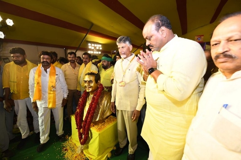 TDP Mahanadu photos - 3 / 14 photos