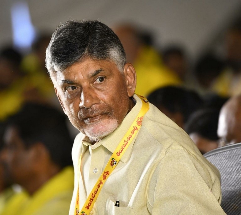 TDP Mahanadu photos - 7 / 14 photos