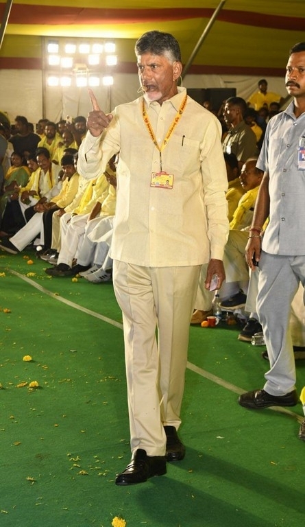 TDP Mahanadu photos - 8 / 14 photos