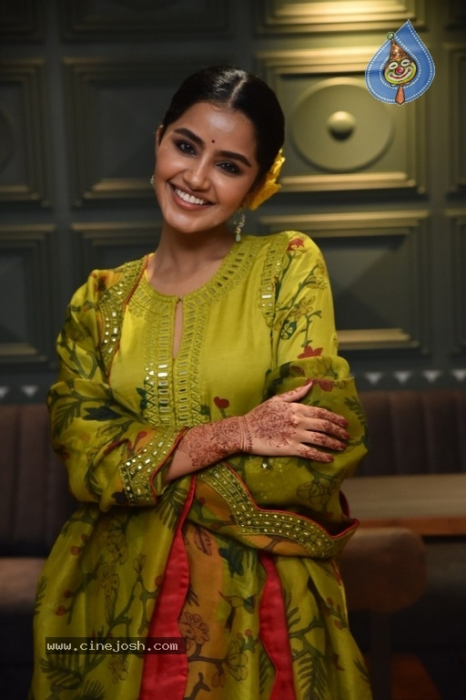 Anupama Parameswaran - 11 / 21 photos