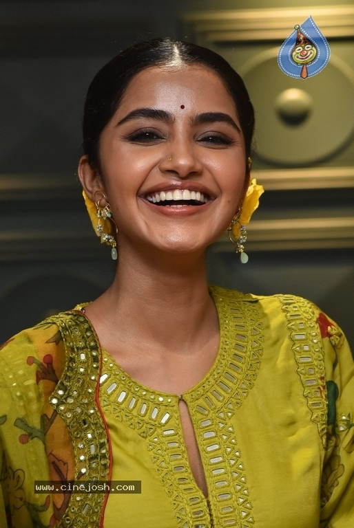 Anupama Parameswaran - 12 / 21 photos