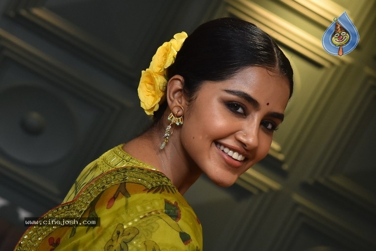 Anupama Parameswaran - 13 / 21 photos