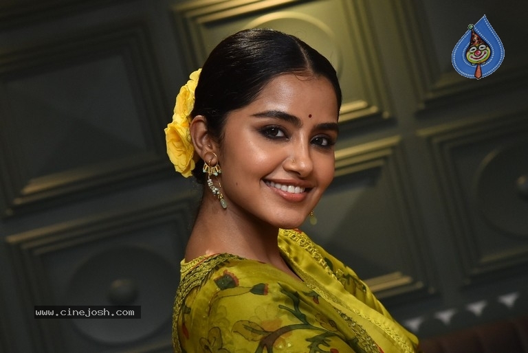 Anupama Parameswaran - 16 / 21 photos