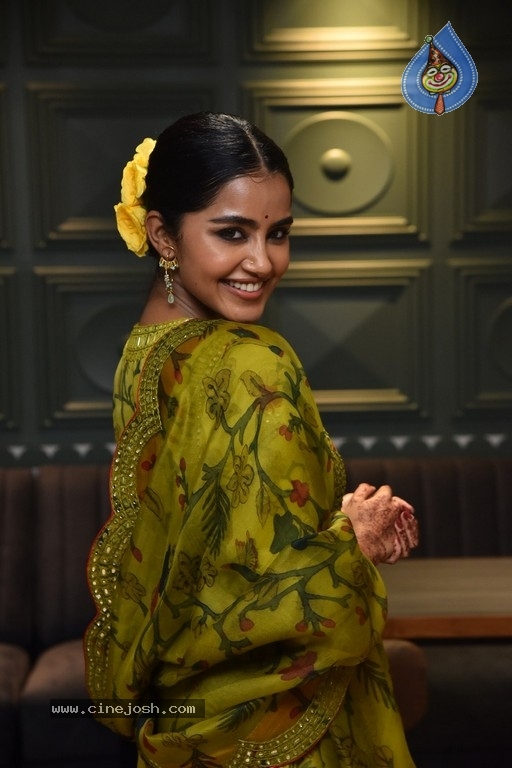 Anupama Parameswaran - 18 / 21 photos