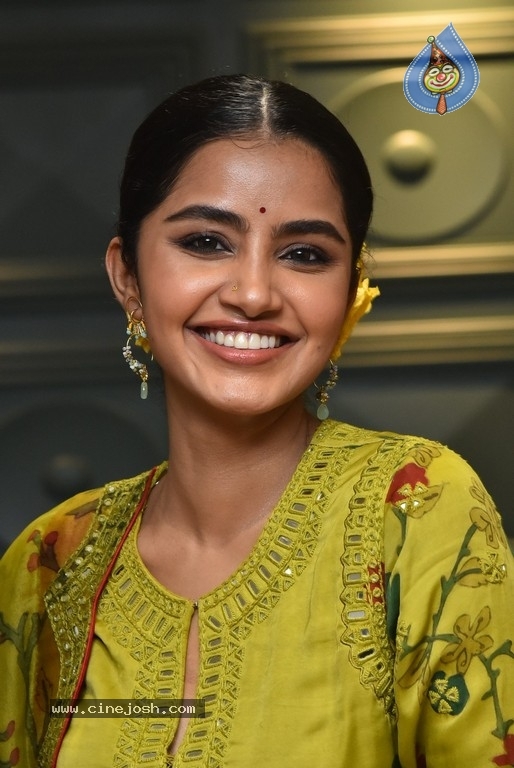 Anupama Parameswaran - 19 / 21 photos