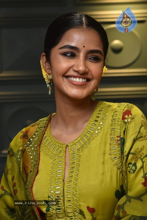 Anupama Parameswaran - 21 / 21 photos