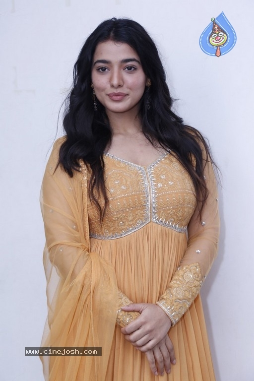 Ketika Sharma Interview Photos - 19 / 20 photos