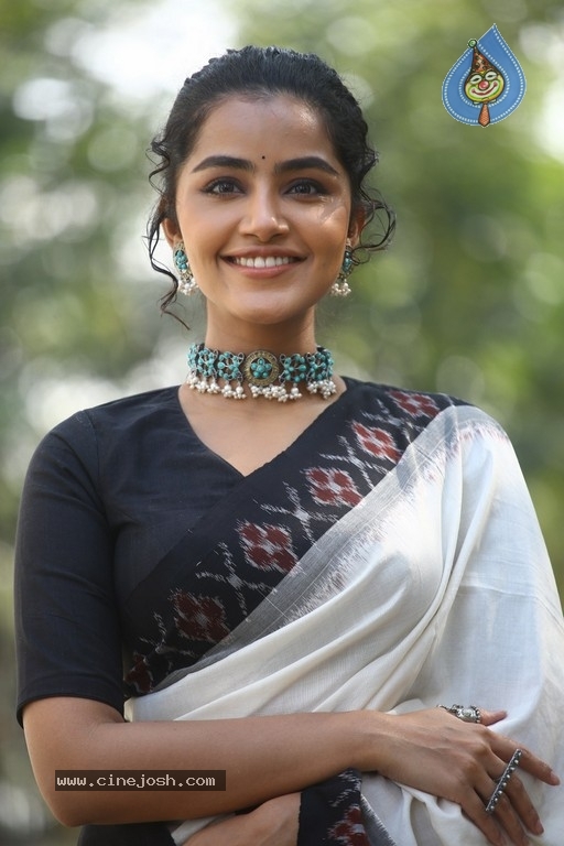 Anupama Parameswaran Photos - 9 / 21 photos