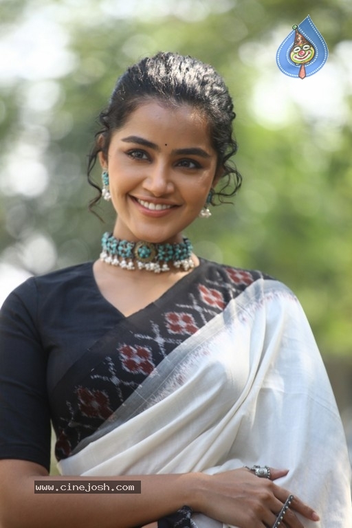 Anupama Parameswaran Photos - 11 / 21 photos