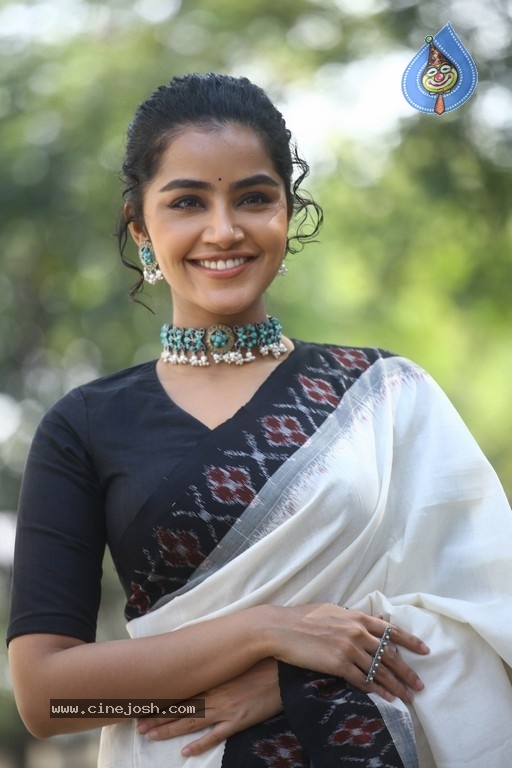 Anupama Parameswaran Photos - 21 / 21 photos